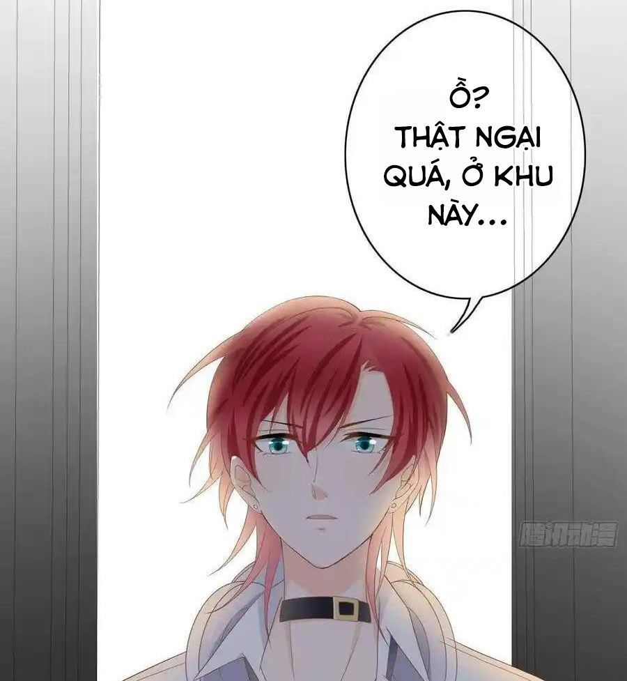 Làm Ảnh Hậu Không Bằng Học Thanh Hoa [Chap 1-85]