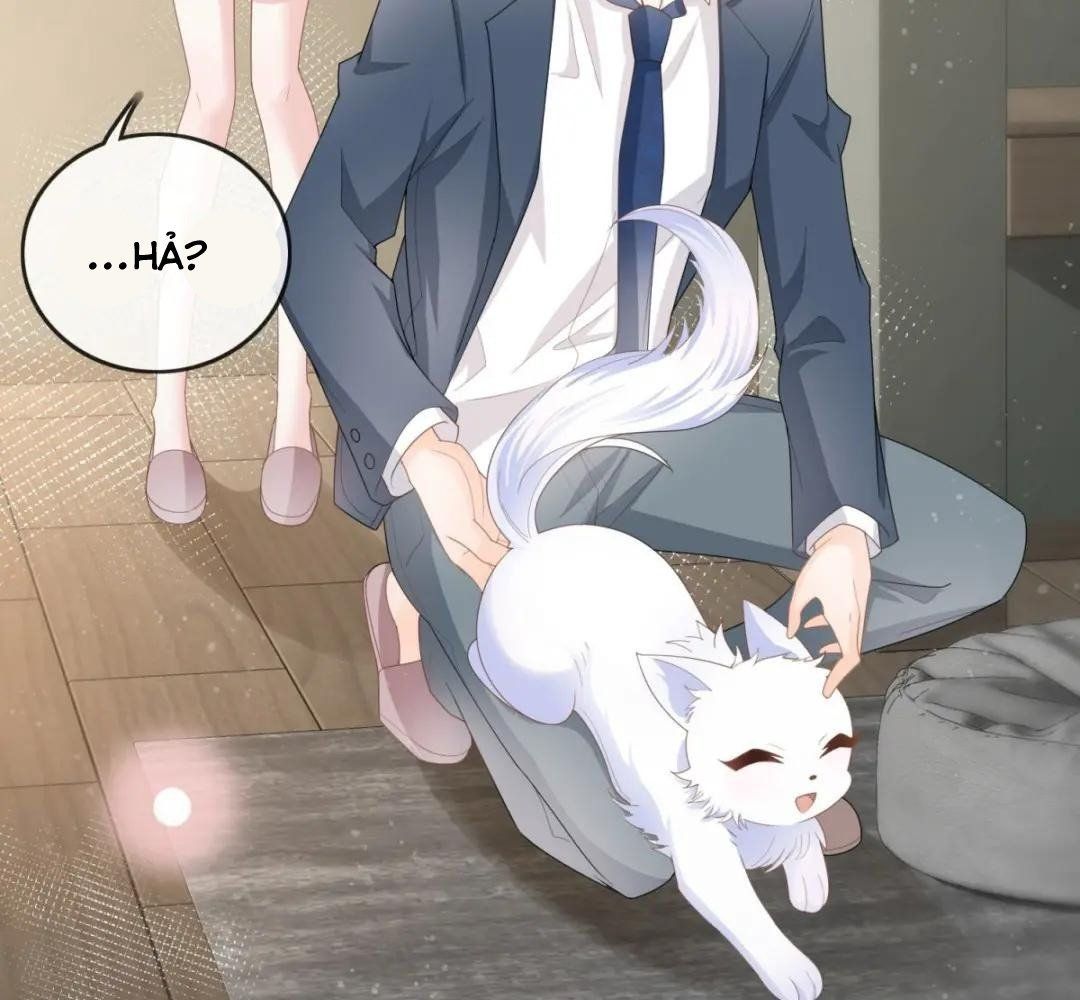 Làm Ảnh Hậu Không Bằng Học Thanh Hoa [Chap 1-85]