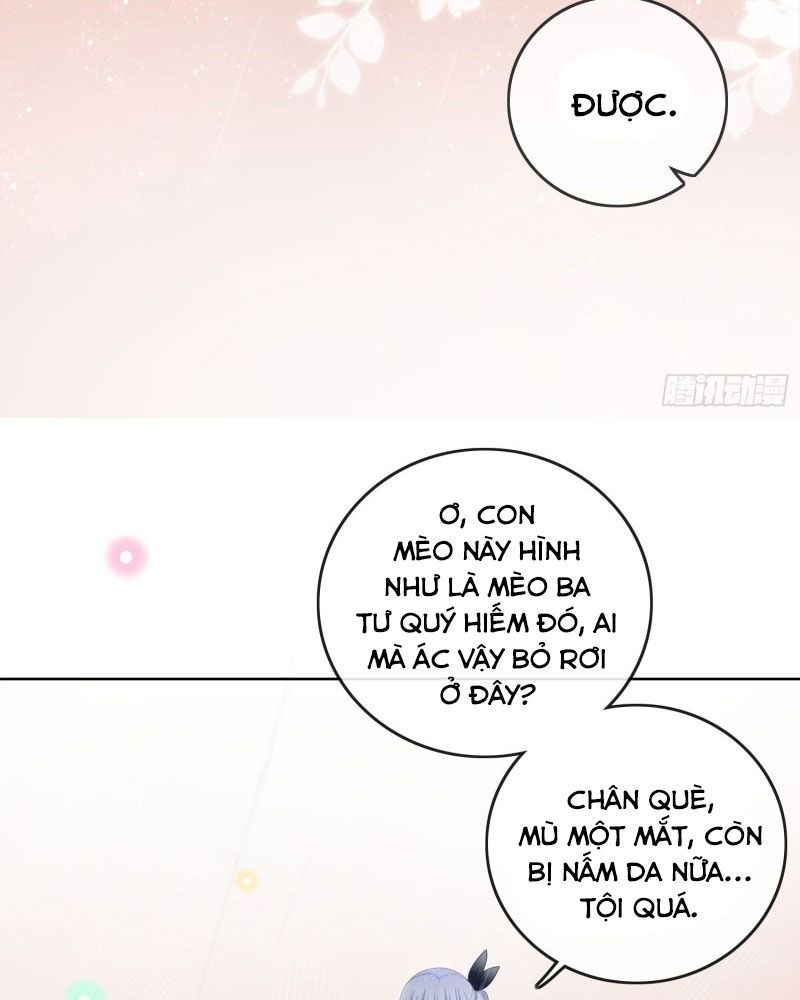 Làm Ảnh Hậu Không Bằng Học Thanh Hoa [Chap 1-85]