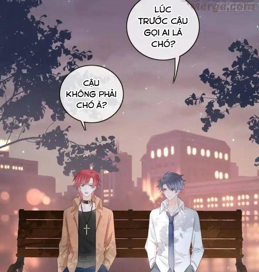 Làm Ảnh Hậu Không Bằng Học Thanh Hoa [Chap 1-85]