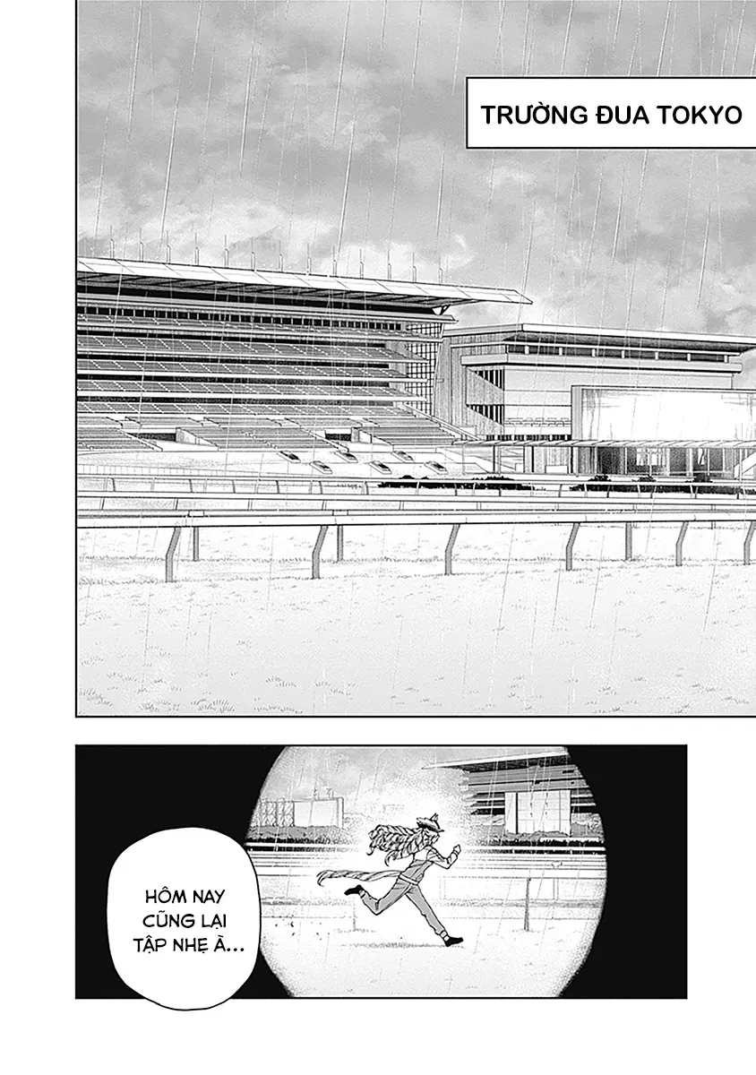 Uma Musume Cinderella Gray [Chap 50]