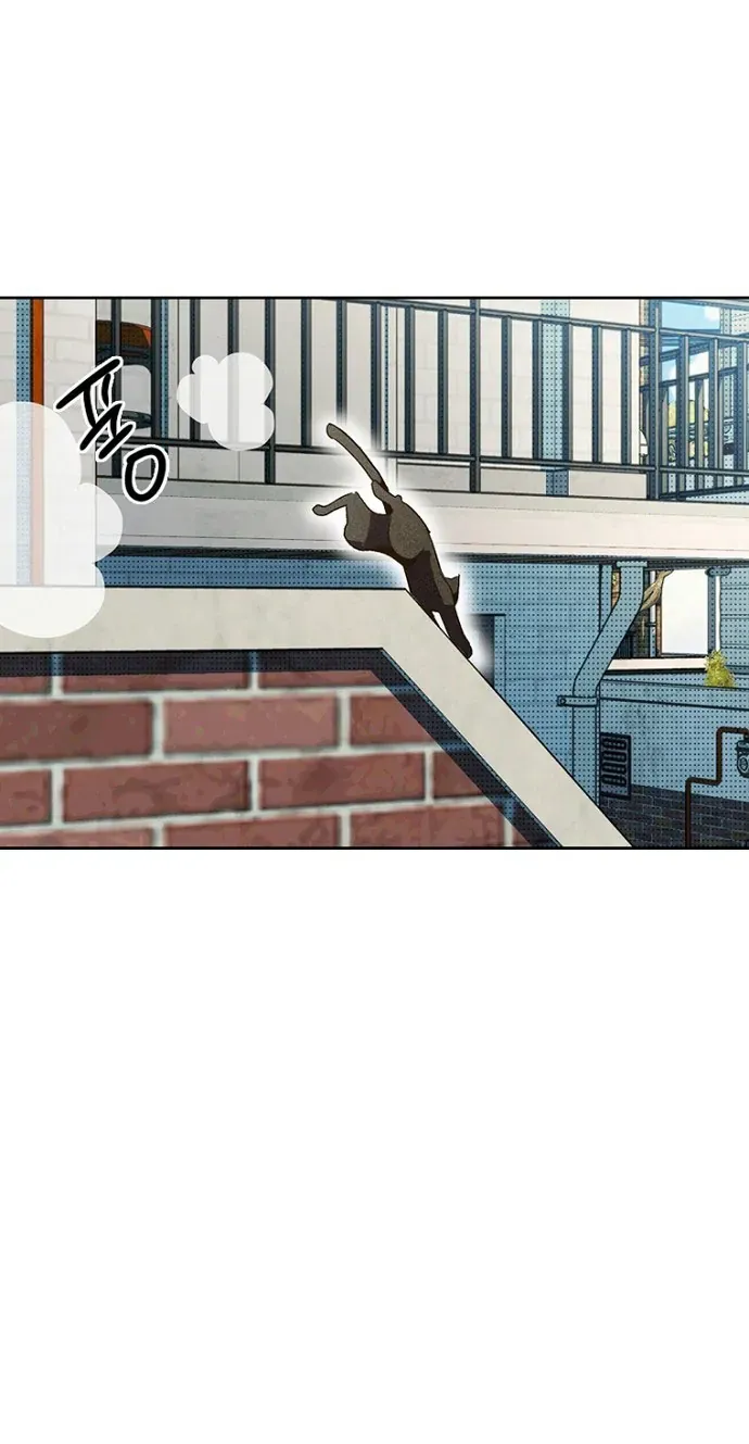 Thập Chi Nhị Thiếu Nữ [Chap 0-5]