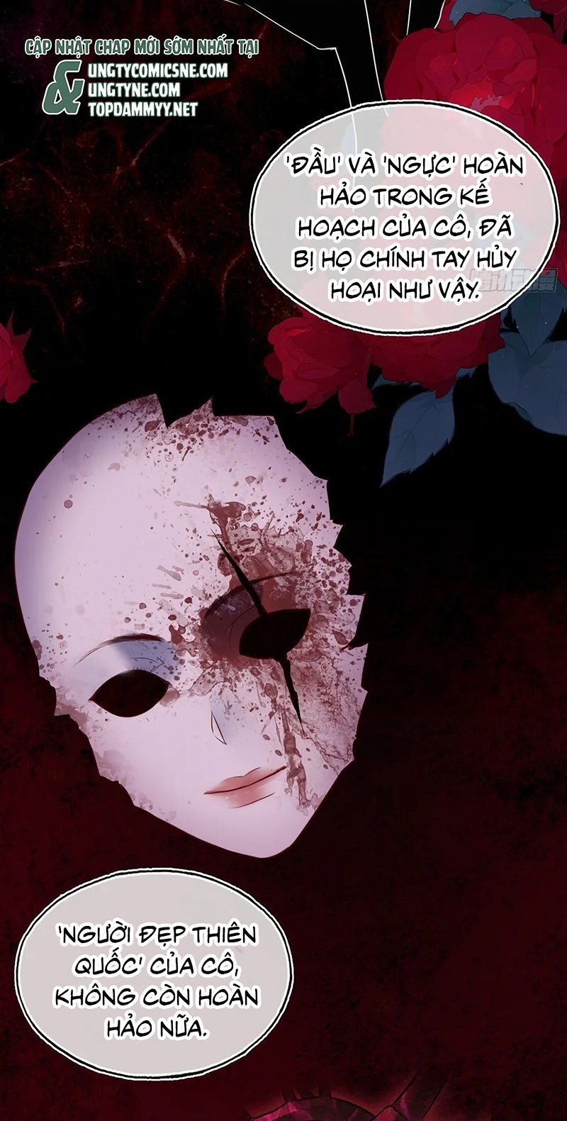 Anh Ấy Chưa Từng Rơi Xuống Chapter 146 - TC Truyện