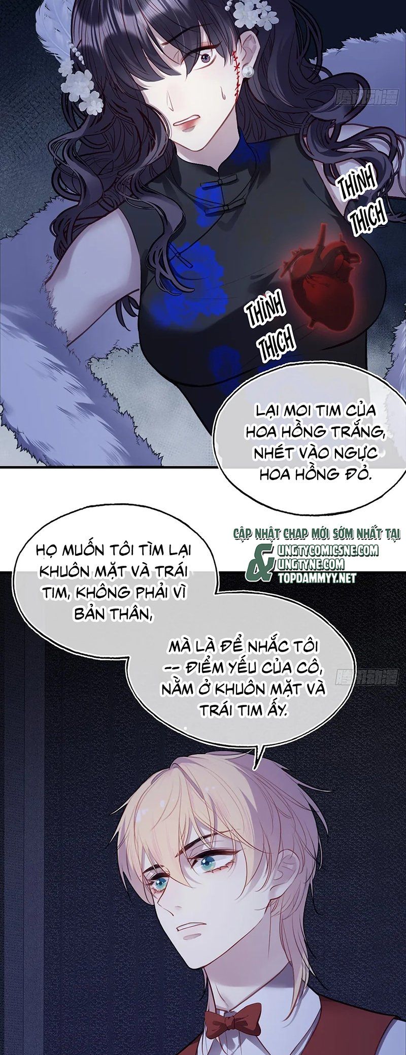 Anh Ấy Chưa Từng Rơi Xuống Chapter 146 - TC Truyện