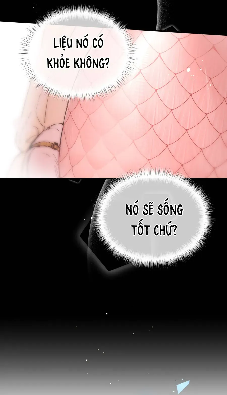 Cô Ấy Sẽ Thuần Phục Anh Hùng [Chap 5-6]