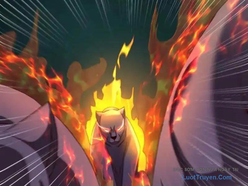 Sau Khi Sống Lại Ở Mạt Thế, Ta Điên Cuồng Thăng Cấp Chapter 72 - TC Truyện