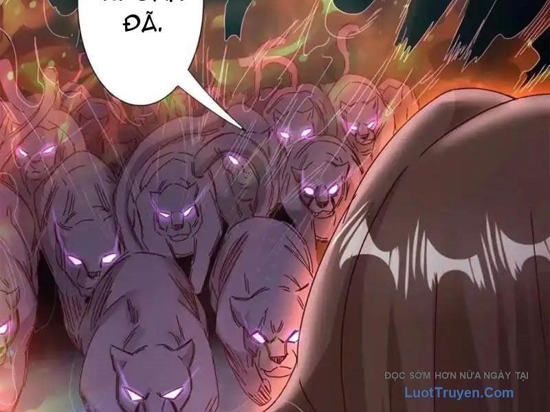 Sau Khi Sống Lại Ở Mạt Thế, Ta Điên Cuồng Thăng Cấp Chapter 72 - TC Truyện