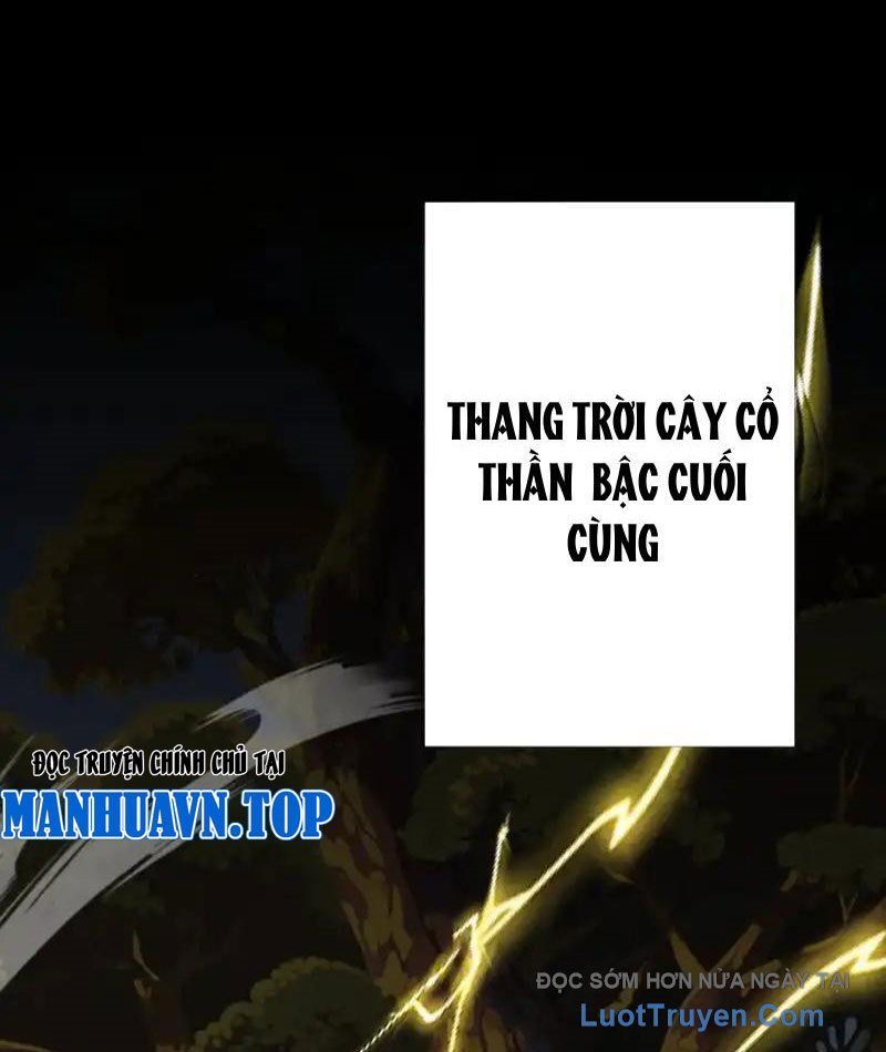 Đồ Đệ Nữ Đế Của Ta Muốn Hắc Hóa! [Chap 79]