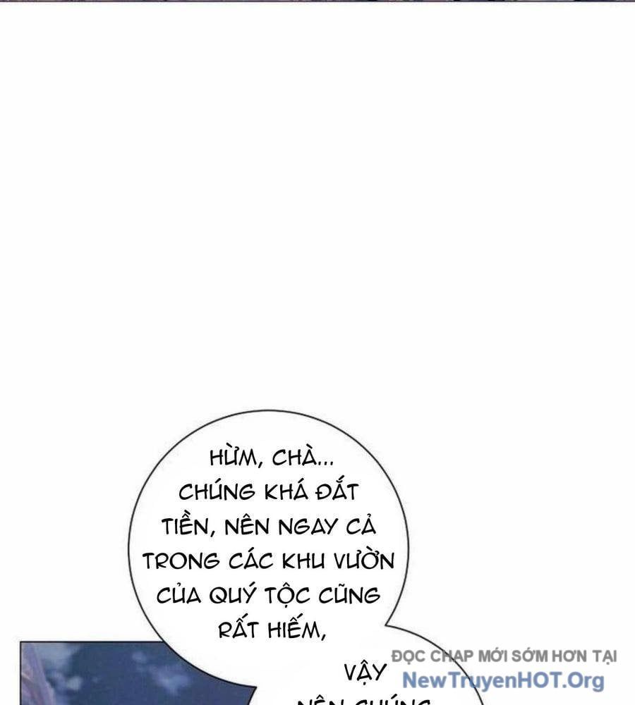 Ma Pháp Quân Chủ [Chap 18-31]