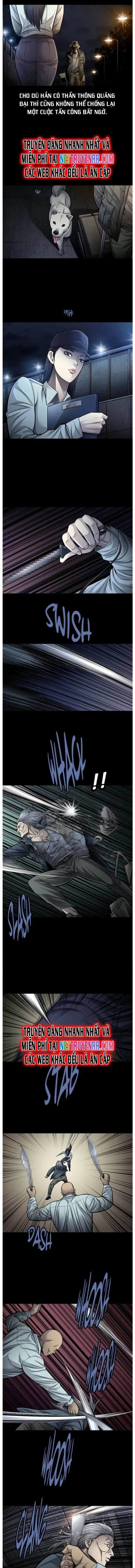 Tao Là Công Lý [Chap 114-143]