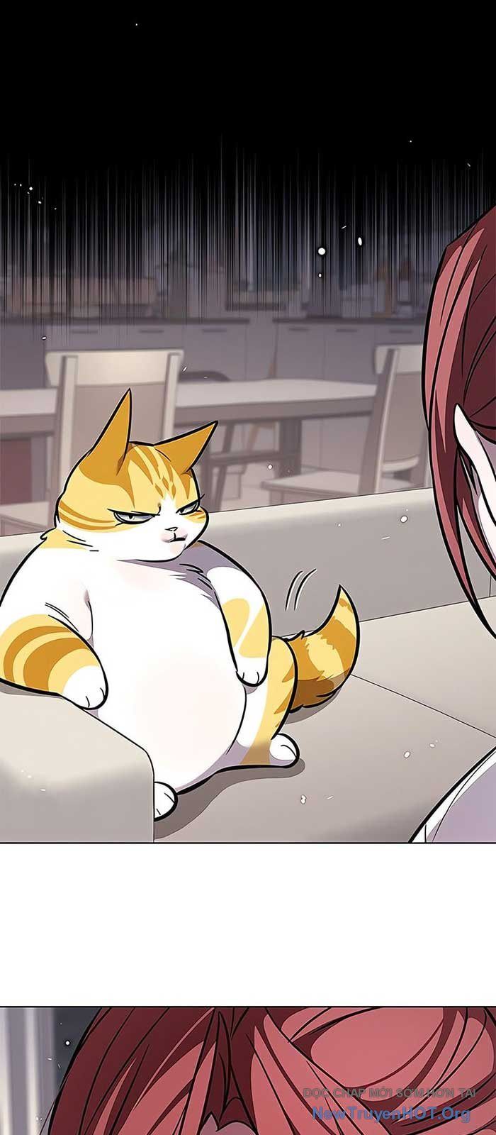 Hoá Thân Thành Mèo [Chap 375]