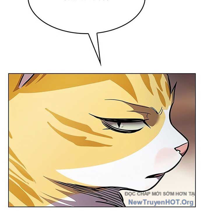 Hoá Thân Thành Mèo [Chap 375]