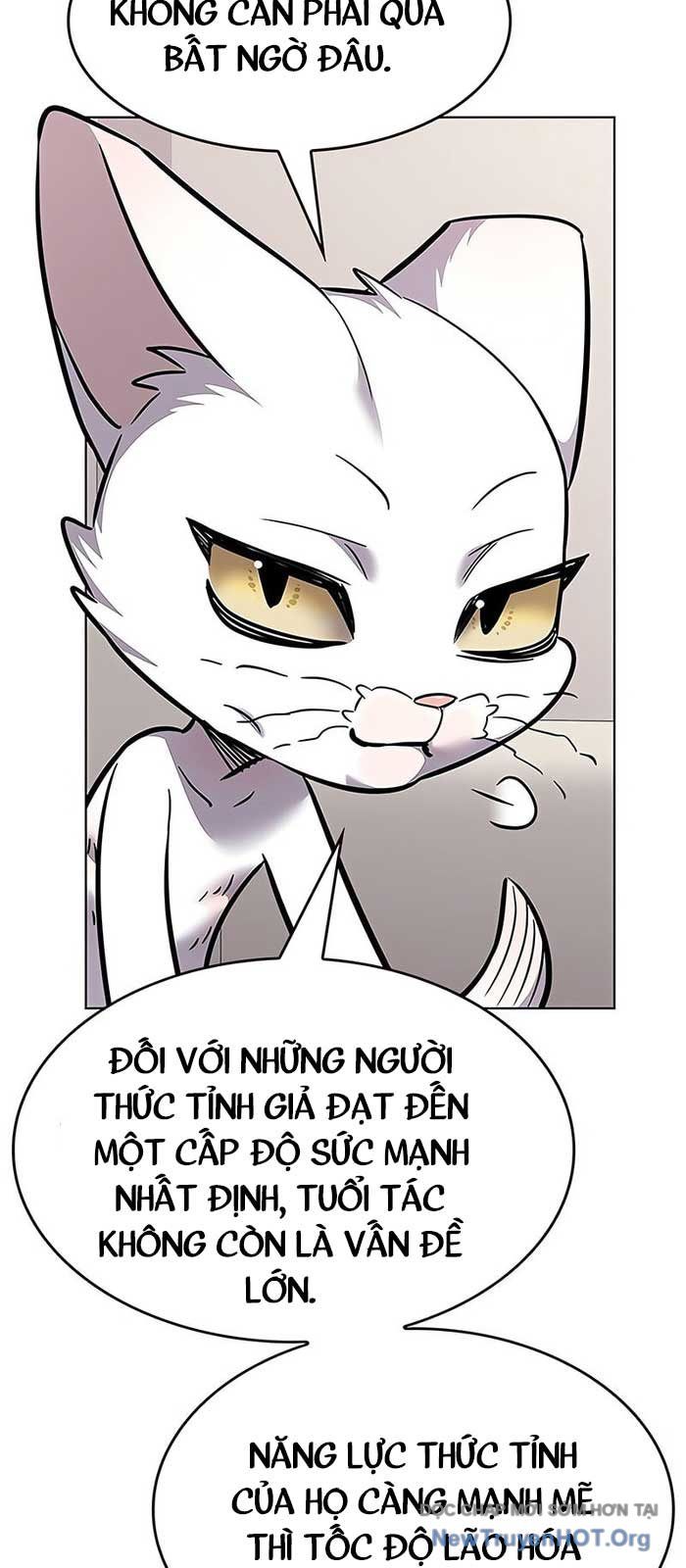 Hoá Thân Thành Mèo [Chap 375]