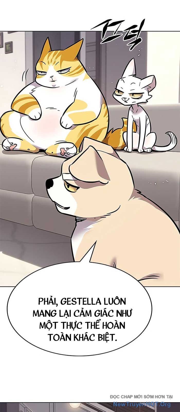 Hoá Thân Thành Mèo [Chap 375]