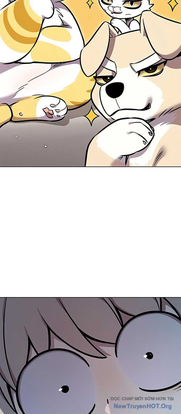 Hoá Thân Thành Mèo [Chap 375]