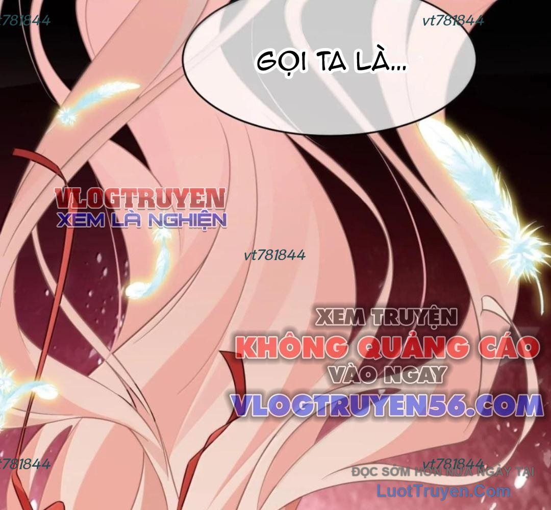 Vượt Cấp Xuyên Không Tại Sao Tôi Lại Trở Thành Tiểu Thư Tu Sĩ [Chap 61]