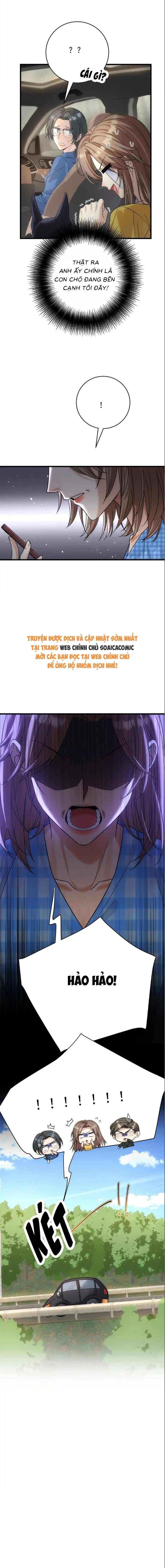 Tổng Tài Chó [Chap 49-50]