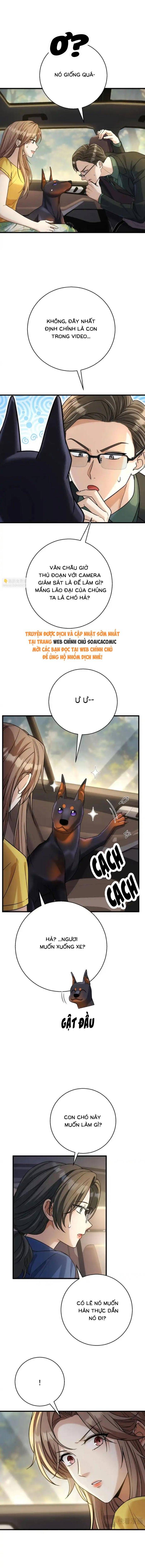 Tổng Tài Chó [Chap 49-50]