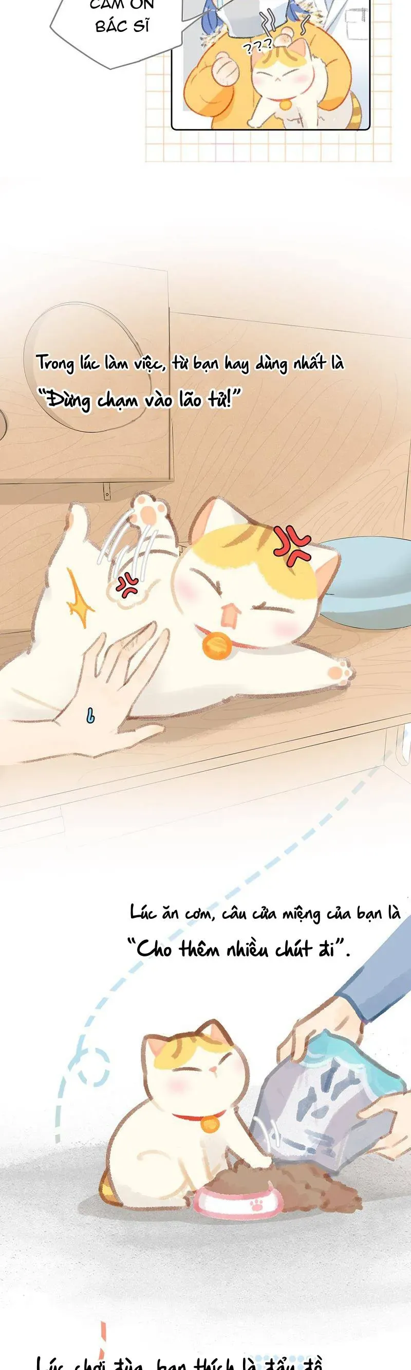 Lục Lạc Mèo [Chap 21-24]