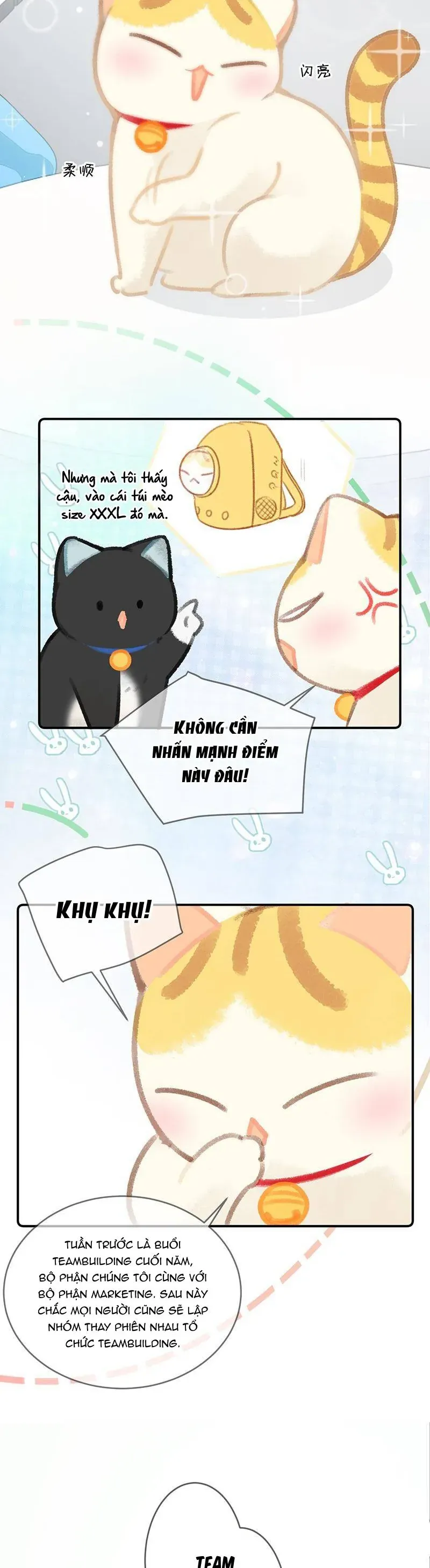 Lục Lạc Mèo [Chap 21-24]