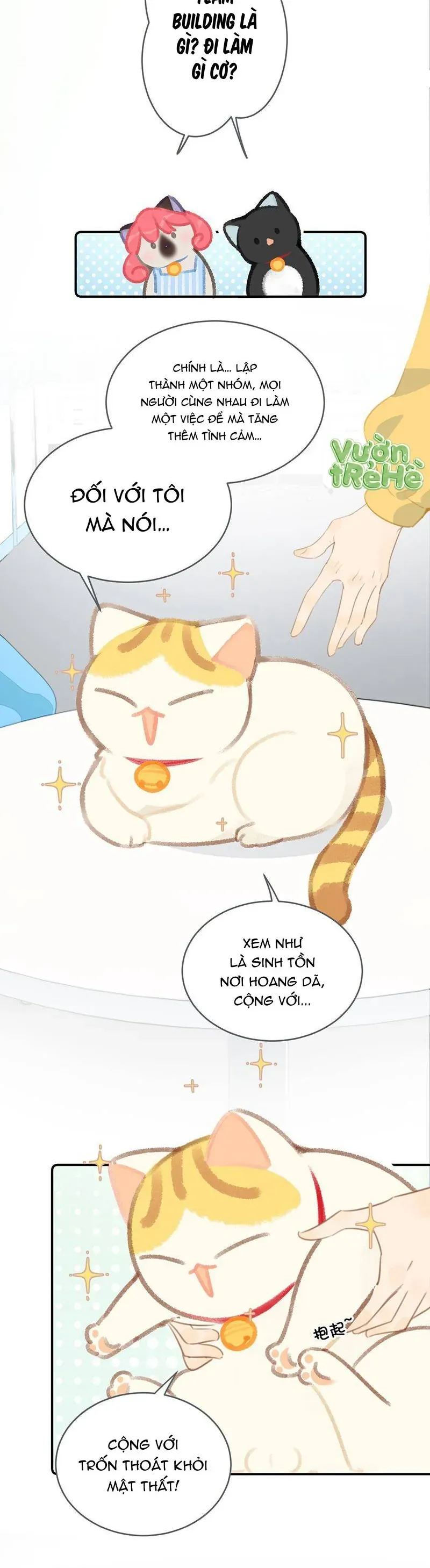 Lục Lạc Mèo [Chap 21-24]