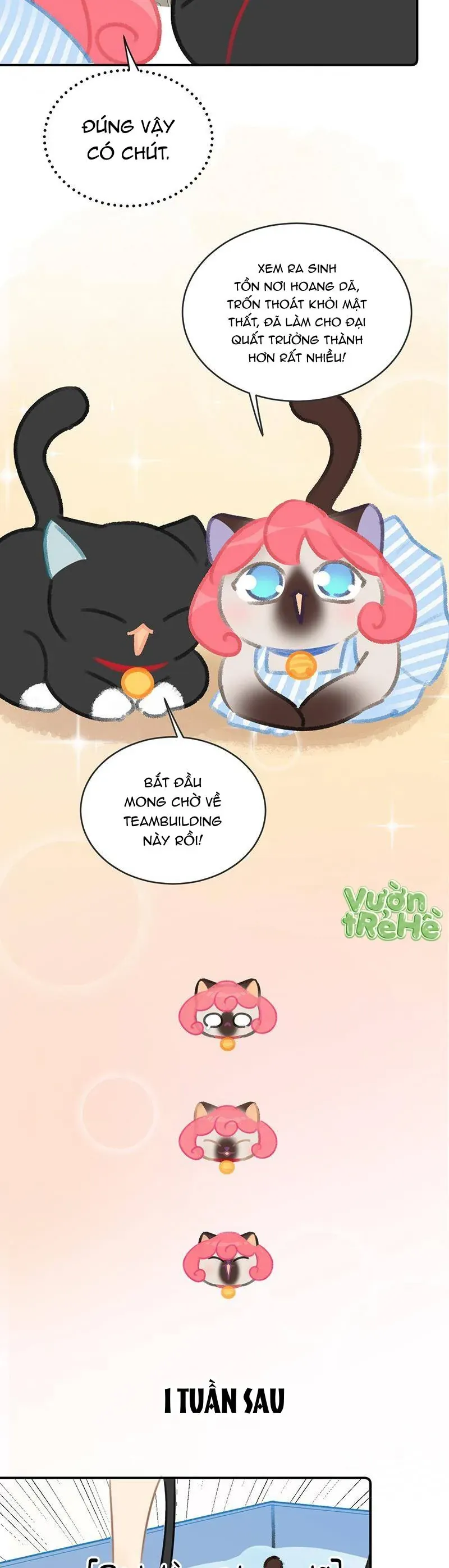 Lục Lạc Mèo [Chap 21-24]