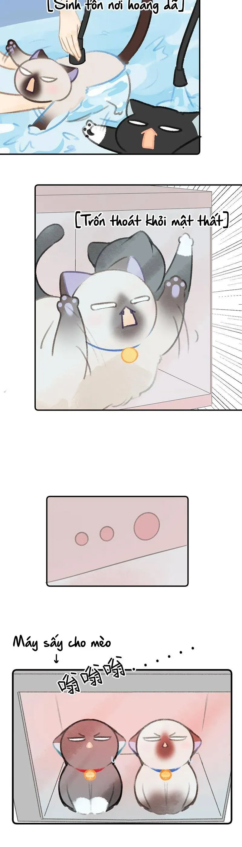 Lục Lạc Mèo [Chap 21-24]