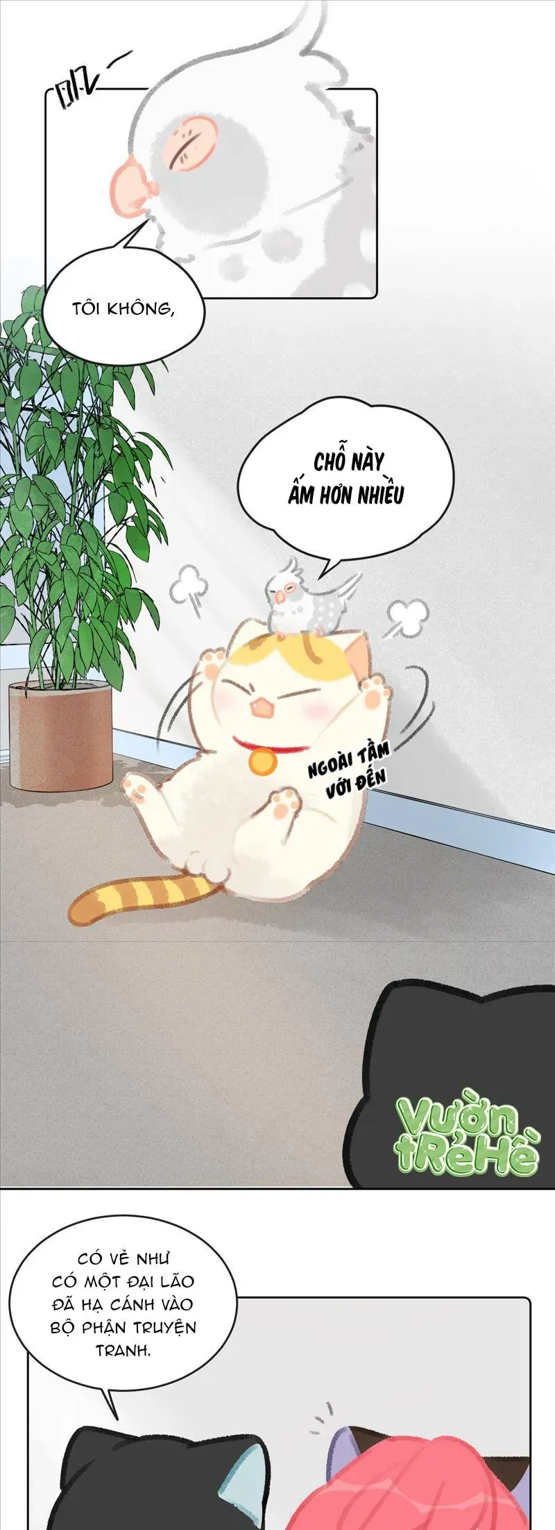 Lục Lạc Mèo [Chap 21-24]