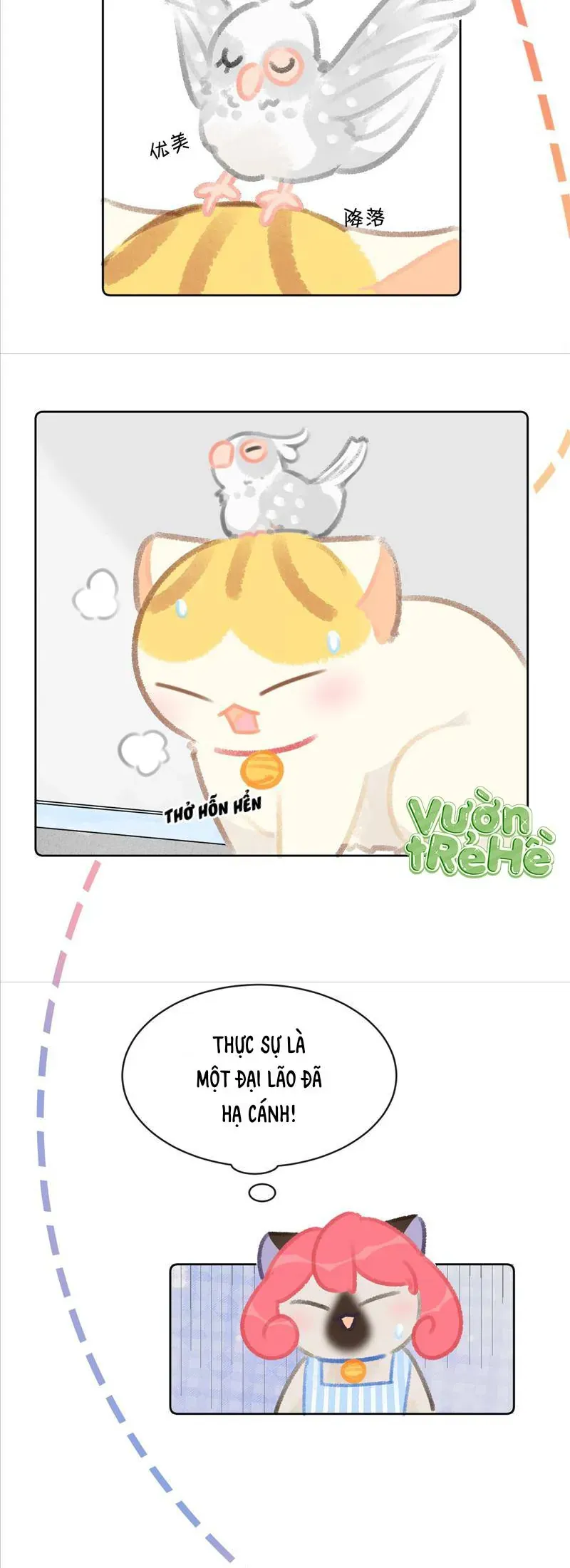 Lục Lạc Mèo [Chap 21-24]