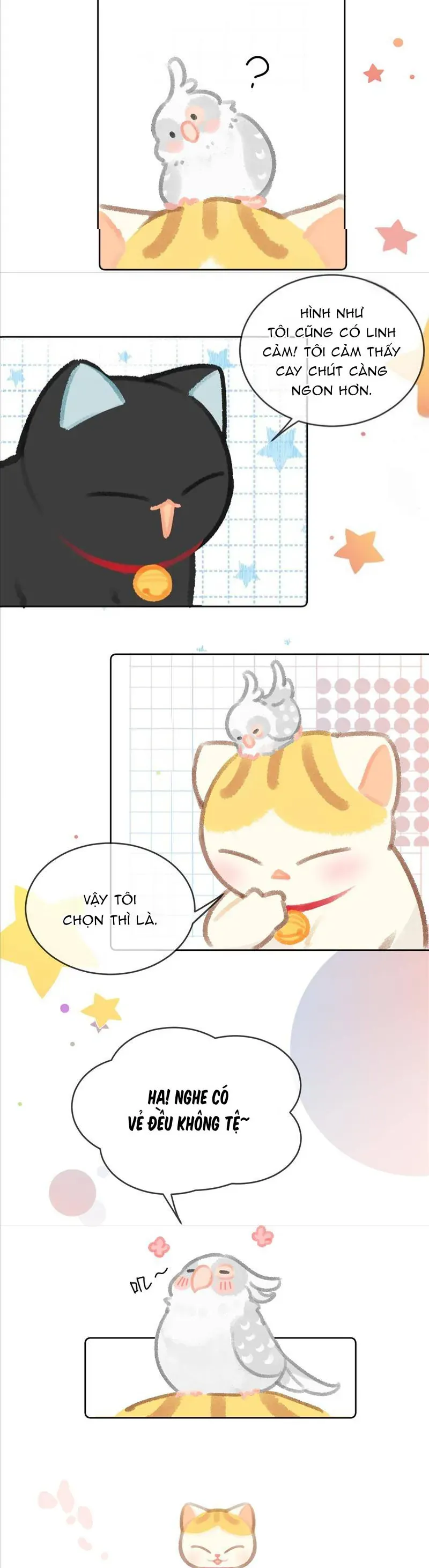 Lục Lạc Mèo [Chap 21-24]