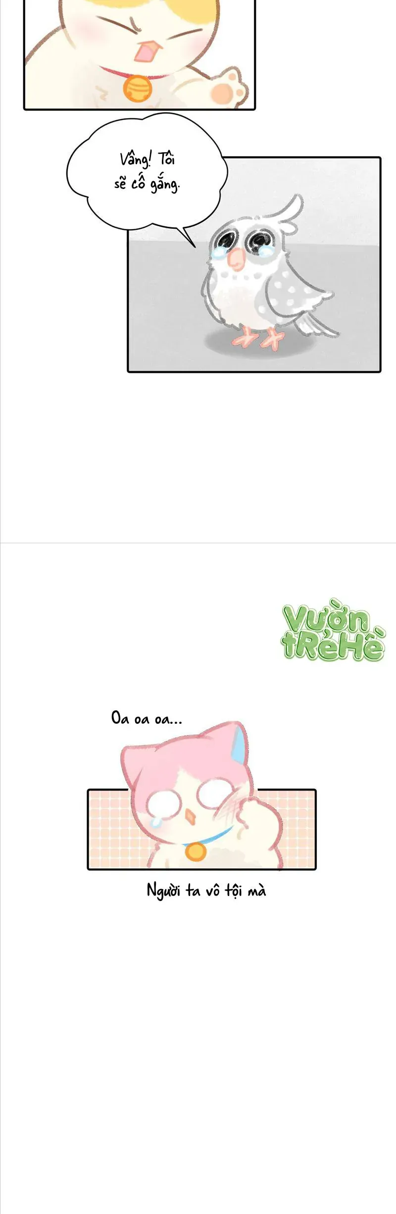 Lục Lạc Mèo [Chap 21-24]