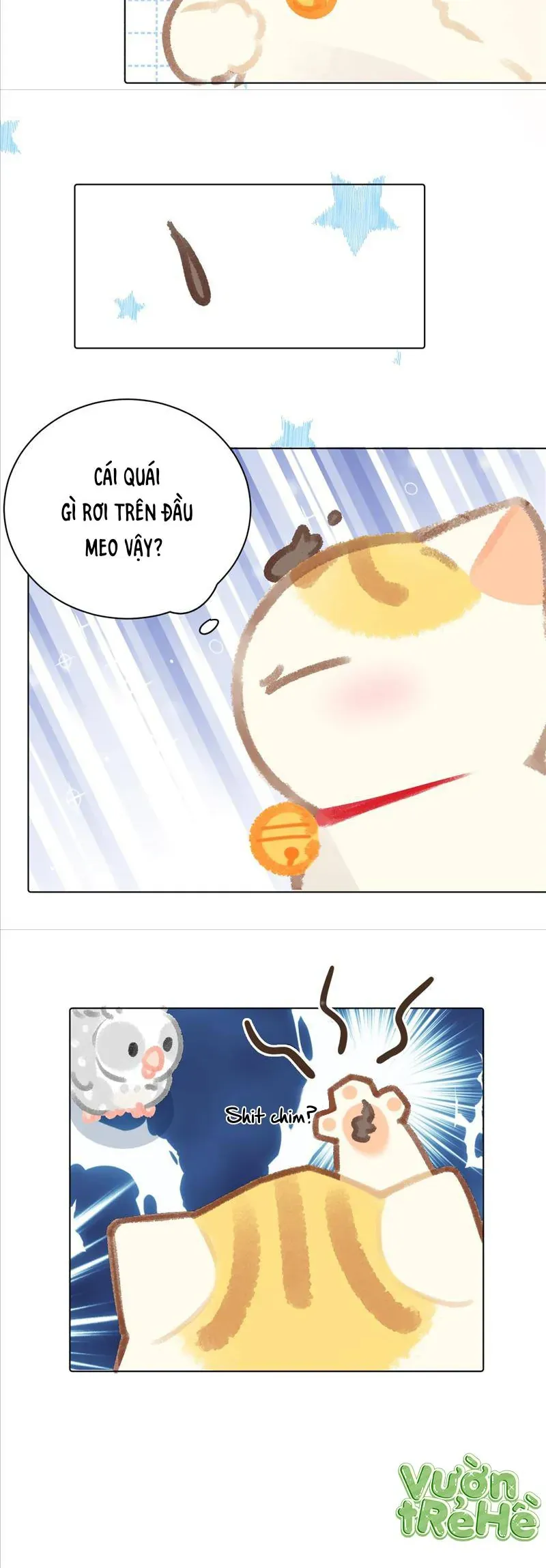 Lục Lạc Mèo [Chap 21-24]