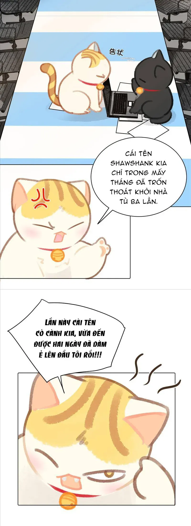 Lục Lạc Mèo [Chap 21-24]