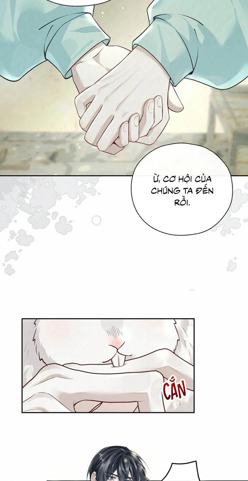 Hôm Nay Điện Hạ Bị Ám Sát Rồi À? Chapter 26 - TC Truyện