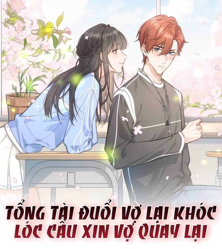 Tổng Tài Đuổi Vợ Lại Khóc Lóc Cầu Xin Vợ Quay Lại [Chap 0-111]