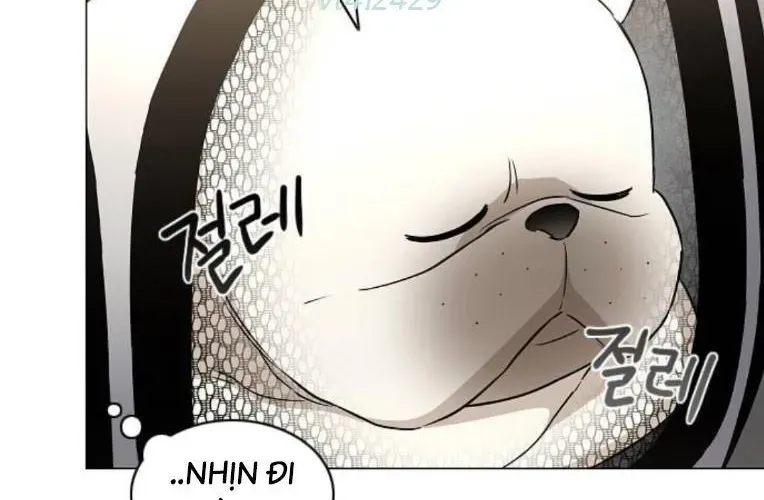 Kiếm Vương [Chap 58-74]