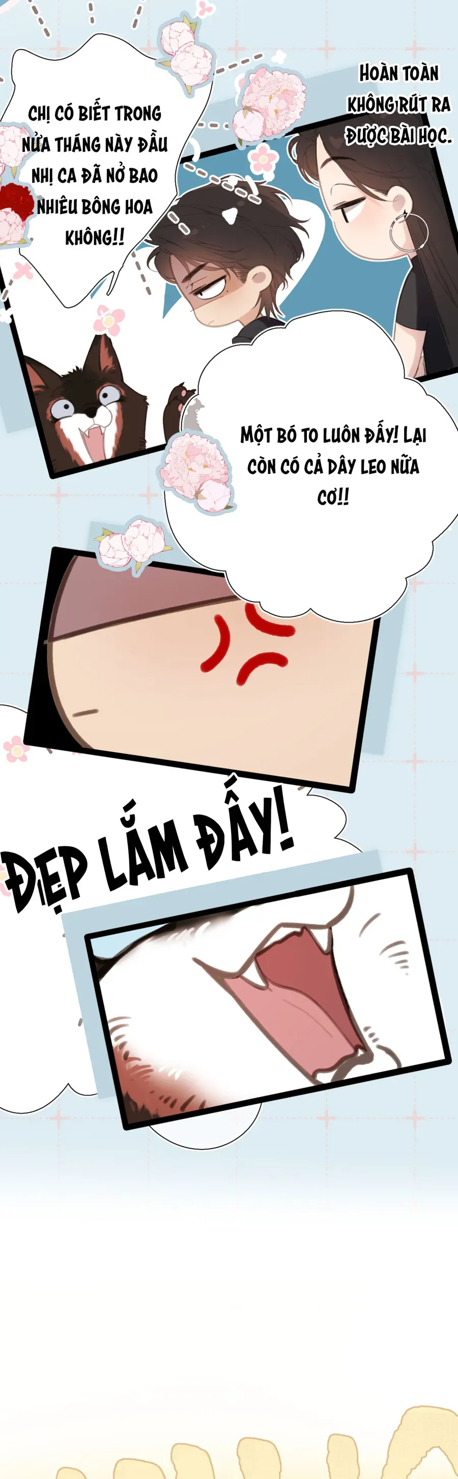 Ngược Dòng Về Mùa Xuân [Chap 60-61]