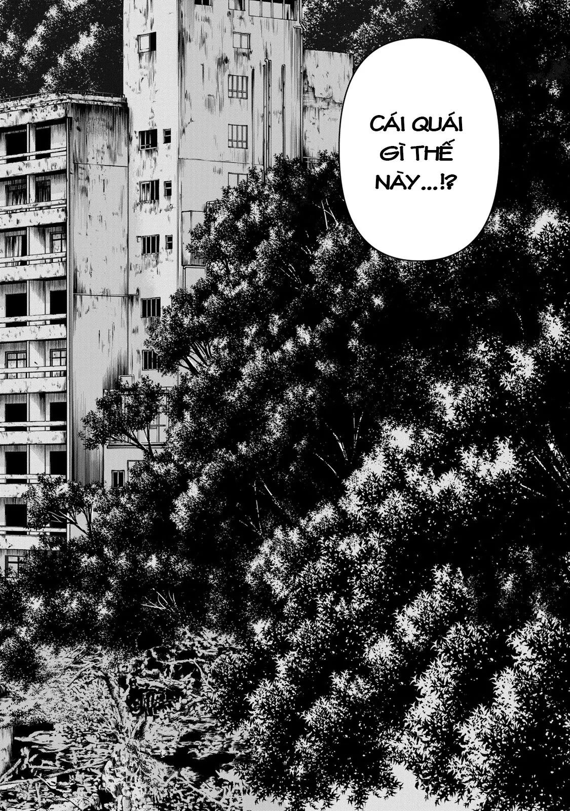 Ông Bố Thám Tử Kindaichi [Chap 1-9]