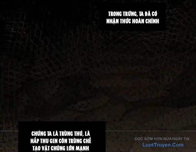 Hư Thực Chi Vương [Chap 41]