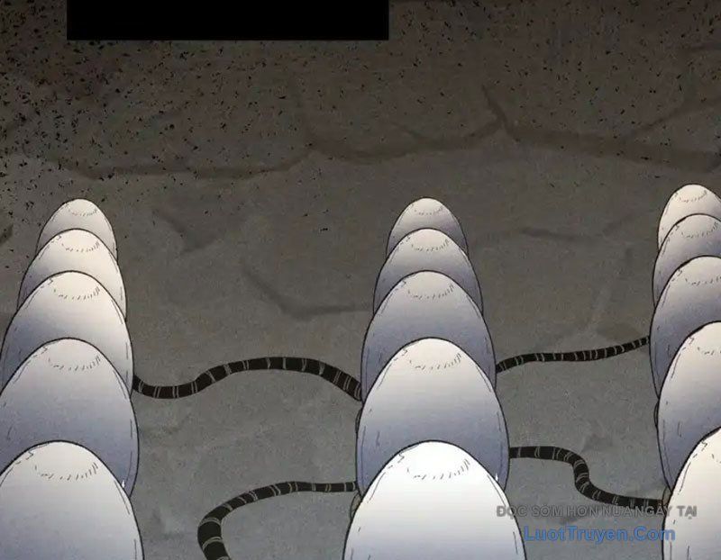 Hư Thực Chi Vương [Chap 41]