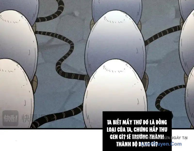 Hư Thực Chi Vương [Chap 41]