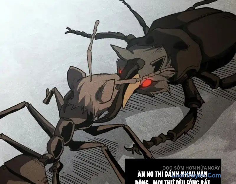 Hư Thực Chi Vương [Chap 41]