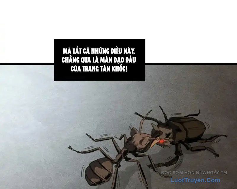 Hư Thực Chi Vương [Chap 41]