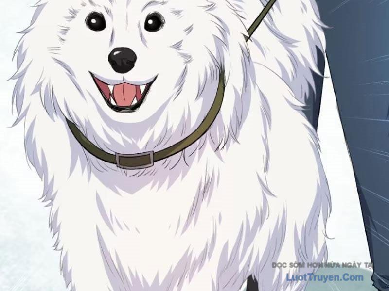 Bỏ làm simp chúa ta có trong tay cả tỉ thần hào Chap 253 - Next Chap 252