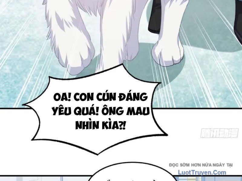 Bỏ làm simp chúa ta có trong tay cả tỉ thần hào Chap 253 - Next Chap 252