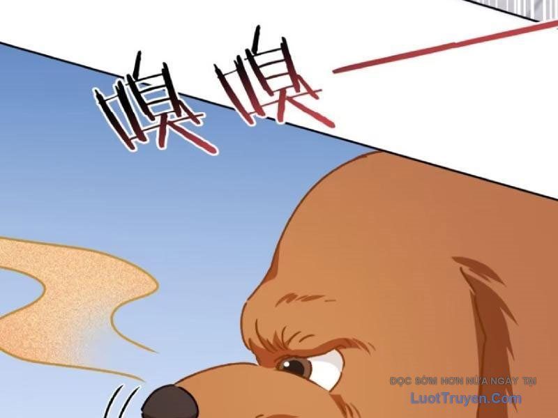 Bỏ làm simp chúa ta có trong tay cả tỉ thần hào Chap 253 - Next Chap 252