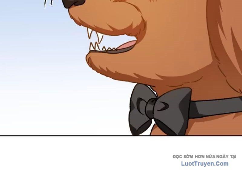 Bỏ làm simp chúa ta có trong tay cả tỉ thần hào Chap 253 - Next Chap 252