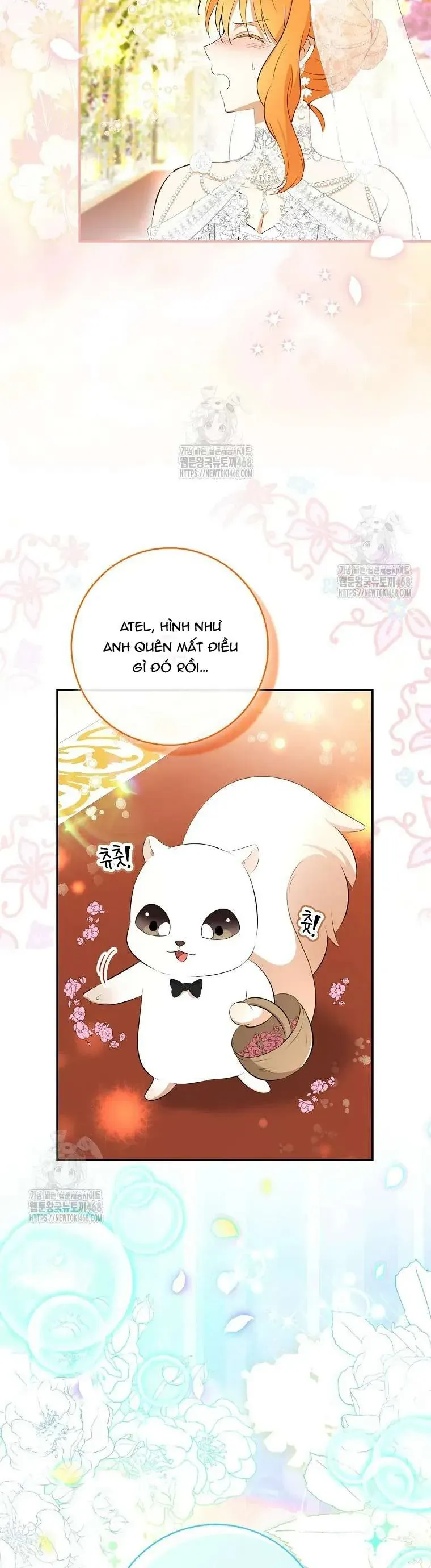 Sóc Nhỏ Tài Năng [Chap 113-123]