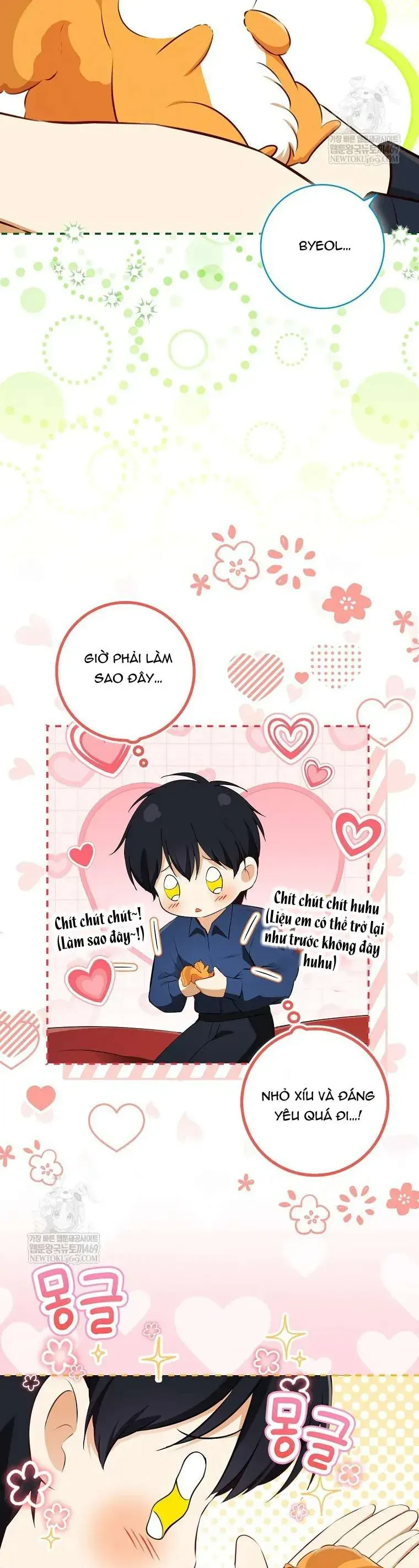 Sóc Nhỏ Tài Năng [Chap 113-123]