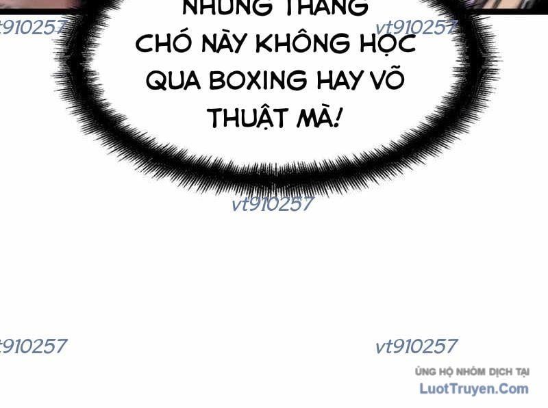 Sự Im Lặng Của Học Sinh Chuyển Trường [Chap 28]